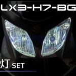 DLX3-H7-BG2